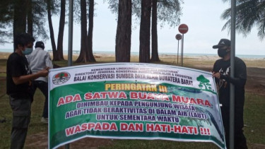 Kali Kedua, Buaya Muara Menyerang Penumpang Sepeda Motor di Agam