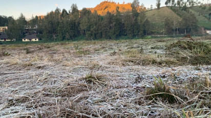 Fenomena Embun Es Muncul di Ranupane Lumajang, Warga Menyebutnya Embun Upas