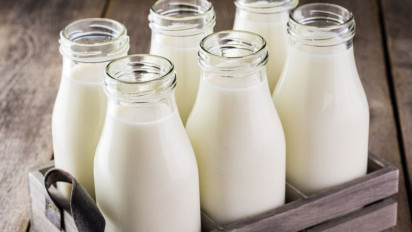 Genjot Produksi Susu Sapi, Indonesia Jalin Kerja Sama dengan AS, Bisa Bantu Pasok untuk Program Makan Bergizi Gratis