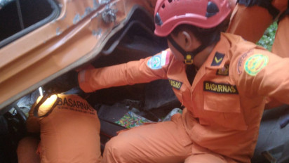 Truk Bermuatan Eukaliptus Terjun ke Jurang, Sopir Tewas Terjepit