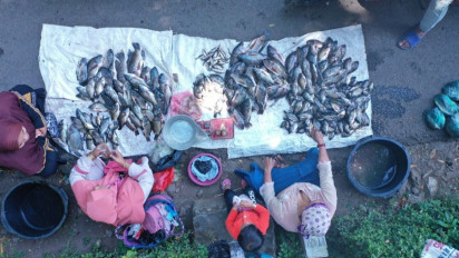 Heboh Ikan Mabuk atau Fenomena Koyo di Danau Ranu Klakah, Ini Penjelasan Dinas Perikanan