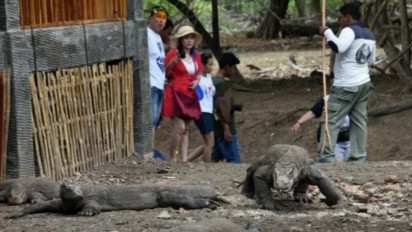 Pengunjung Pulau Komodo Harus Rogoh Kocek Rp 3,75 Juta Mulai Hari Ini