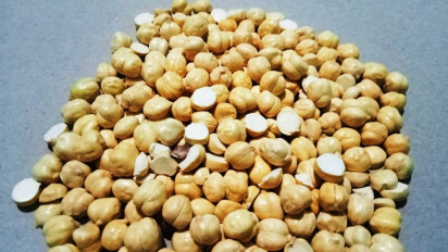 Kacang Arab, Kecil Bentuknya Besar Manfaatnya