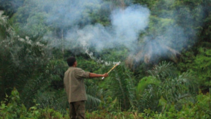 Harimau Sumatera Kembali Mengganas, BBKSDA Sumut Halau dengan Petasan