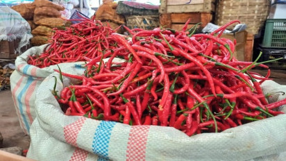 Badan Pusat Statistik: Cabai Merah Menjadi Penyumbang Utama Inflasi di Sumatera Utara