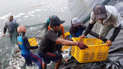 Bisnis Udang di Tasikmalaya Kembali Menggeliat Pascapandemi, Panen Naik 3 Kali Lipat Manfaatkan Teknologi
