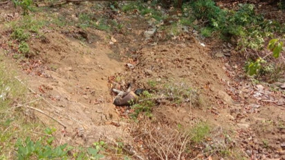 Bikin Geger! Mayat Pria Ditemukan Membusuk di Jalan Geopark Ciletuh Kenakan Baju Teluh Jampang, Kepalanya Tinggal Tengkorak