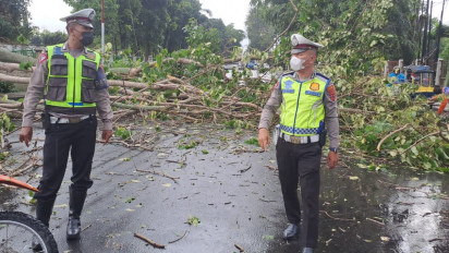 Pematang Siantar Diguyur Hujan Disertai Angin Kencang, Puluhan Pohon dan Baliho Tumbang
