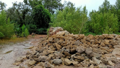 Pengikisan Capai 9 Meter Per Tahun, Abrasi di Wilayah Pesisir Penajam Paser Utara Butuh Penanganan Serius