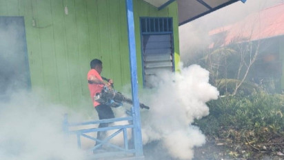 120 Warga Kabupaten Asmat Terjangkit Demam Berdarah Dengue