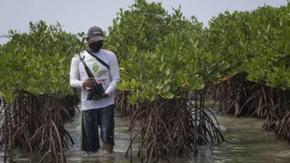 Anggota G20 Didorong Wujudkan Ekosistem Karbon Biru