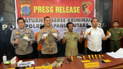 Polres Tapanuli Utara Gagalkan Penjualan Sisik Trenggiling Bernilai Miliaran Rupiah ke China
