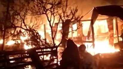 Kandang Ternak Ayam Terbakar, Ratusan Ayam Mati Terpanggang