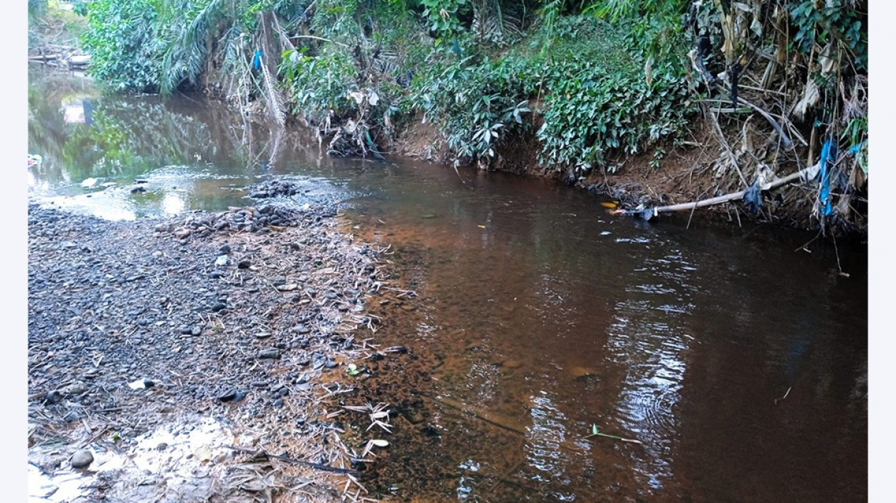 Pencemaran Air di Krung Alue Ie Mirah, Dinas LH Aceh Timur, Aceh akan Uji Air Sungai ke Laboratorium
            - galeri foto