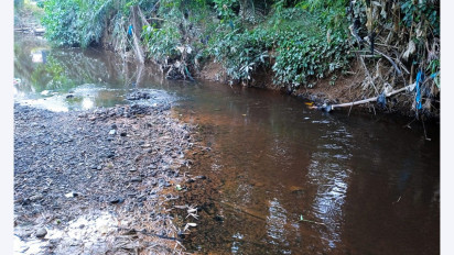 Pencemaran Air di Krung Alue Ie Mirah, Dinas LH Aceh Timur, Aceh akan Uji Air Sungai ke Laboratorium