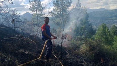 16 Hektare Lahan Kosong di Aceh Tengah Hangus Terbakar
