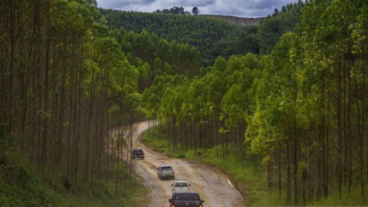 Diharapkannya Peran Para Ahli Biologi Guna Hadapi Permasalahan Lingkungan Dalam Pembangunan IKN