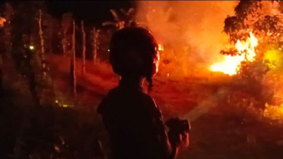 BPBD Kubu Raya Kalbar Mulai Gencar Cegah Hutan Terbakar