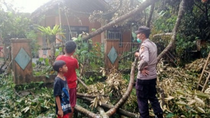 Cuaca Ekstrem, Hujan Disertai Angin Kencang Porak-porandakan Sukabumi, Pohon Tumbang hingga Rumah Warga Rusak