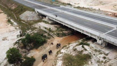 Kelompok Kerja Pembangunan G20 Tekankan Pentingnya Pendanaan Pembangunan