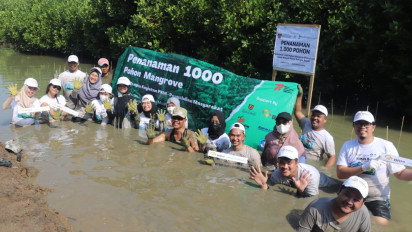 Peduli Terhadap Kesenjangan Alam Bakrie Amanah Tanam 1.000 Pohon Mangrove di Pantai Bahagia Bekasi
