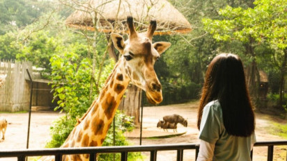 Kebun Binatang Bandung Gratiskan Tiket Masuk Saat HUT Ke-77 RI