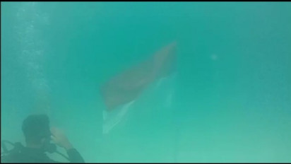 HUT RI Ke-77, TNI AL dan Mahasiswa Kelautan Kibarkan Bendera Merah Putih di Dasar Laut