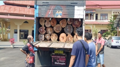 Polisi Tangkap Truk Pembawa Ilegal Logging