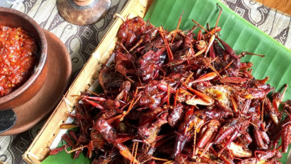5 Kuliner Yogyakarta yang Ekstrim dan Gak Biasa, Tertarik Mencoba?
