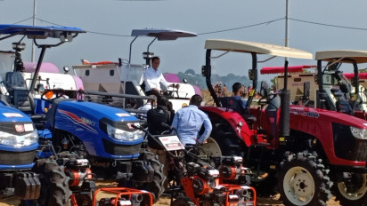 Presiden Joko Widodo Luncurkan Food Estate Berbasis Mangga, Topang Kebutuhan Produk Holtikultura di Indonesia