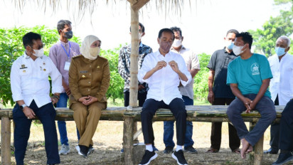 Petani Mangga di Gresik Berkeluhkesah Soal Pemasaran, Presiden Jokowi Janji Carikan Pembeli