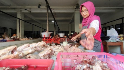 Harga Telur dan Daging Ayam di Kulon Progo Terus Meroket