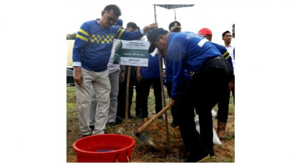 Hijaukan Kota Batam, BP Batam Mulai Gelar Penanaman 12.000 Pohon Jati Emas