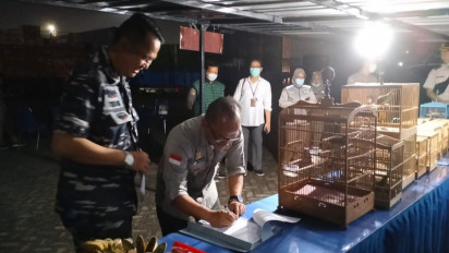 Lanal Semarang Sita Satwa Liar Dilindungi yang Coba Diselundupkan ABK