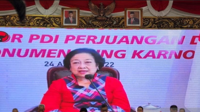 Banjir di Kalimantan Barat Jadi Sinyal Bumi Menderita, PDIP Gaungkan Moratorium Lingkungan Alam