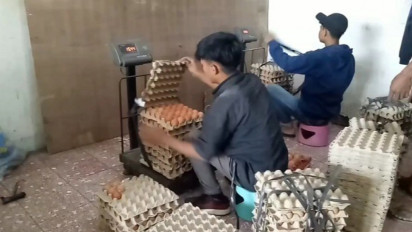 Harga Telor Meroket Omzet Pedagang Turun 50 Persen