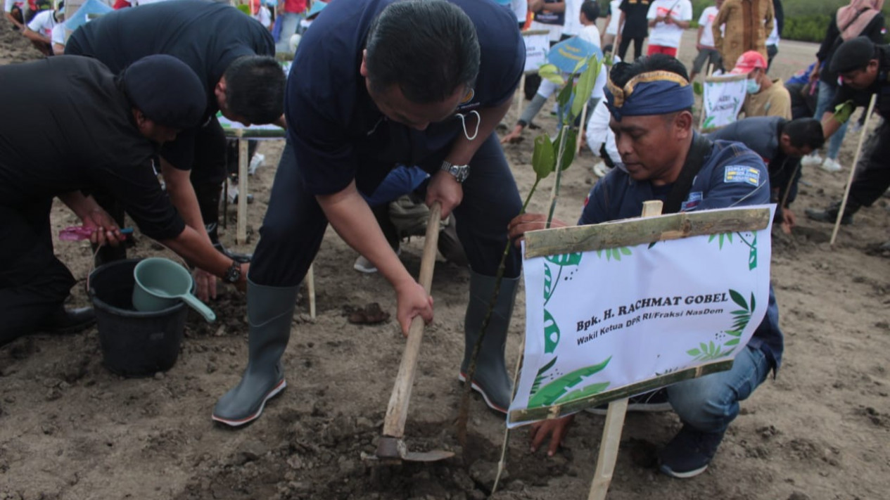 Cegah Pemanasan Global, Nelayan di Banyuwangi Tanam 5000 Mangrove
            - galeri foto
