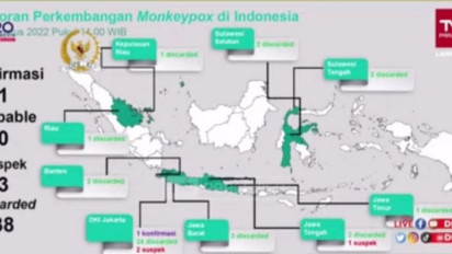 Menkes Sebut Pasien Cacar Monyet di Indonesia Sudah Sembuh
