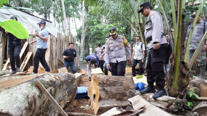 Gerebek Dua Gudang Pengolahan dan Penyimpanan Kayu Jati Diduga Hasil Pembalakan Liar di Lumajang, Polisi Temukan Ini