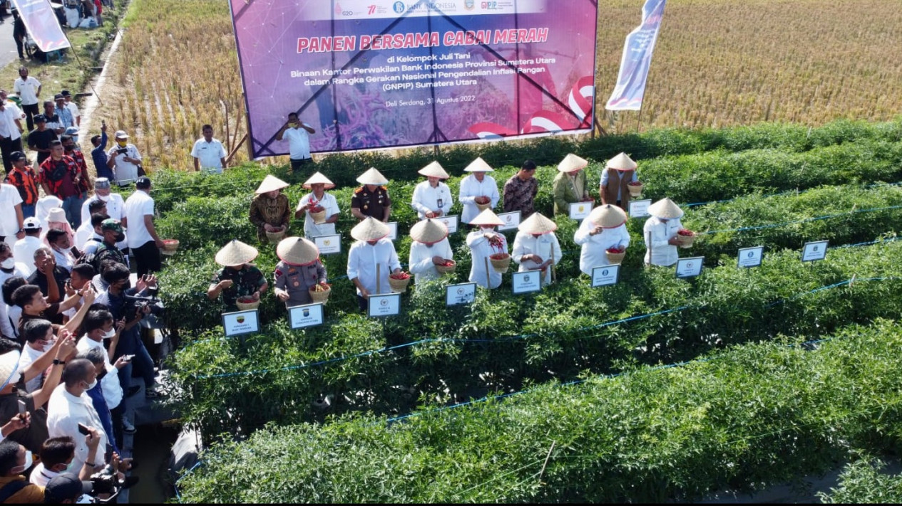 Perkuat Sinergi, Bank Indonesia dan TPID Provinsi Sumatera Utara Dukung Pengendalian Inflasi Pangan
            - galeri foto