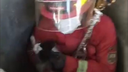 Petugas Damkar Kab. Semarang Evakuasi Kucing Tercebur Sumur Sedalam 20 Meter