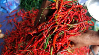 Harga Cabai Kian Pedas, Satgas Pangan Kota Medan Mau Kumpulkan Camat Agar Semua Warga Mau Tanam Cabai di Rumah