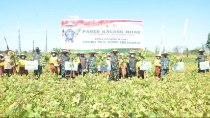 Panen Raya Kacang Hijau di Gresik, KSAD Jenderal TNI Dudung Siap Dukung Lumbung Pangan Nasional