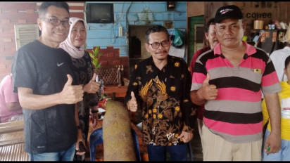 Heboh, Buah Cempedak Raksasa Dengan Berat 23,8 Kg Gemparkan Warga Binjai