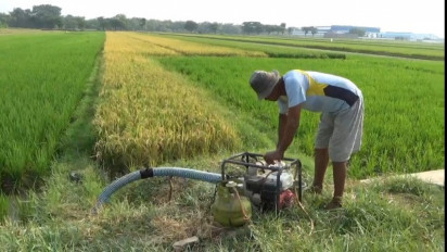 Dampak Naiknya Harga BBM, Petani di Klaten Beralih Gunakan Elpiji Bersubsidi untuk Pompa Air