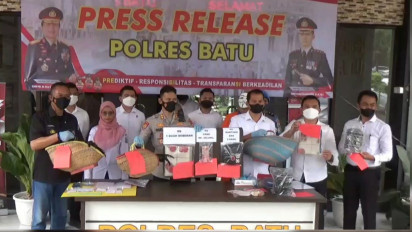 Dua Pesabung Ayam dan Togel Online di Ciduk Satreskrim Polres Batu