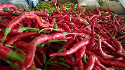 Imbas BBM Naik Harga Cabai Semakin Pedas, Emak-emak di Blora Menjerit