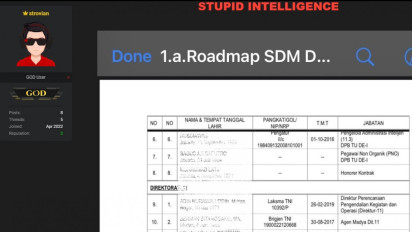 Daftar Nama Intel BIN Diduga Bocor, Hacker: Stupid Intelligence