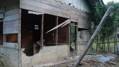 Kawanan Gajah Liar Mengamuk, Rusak Rumah Warga di Nagan Raya Aceh