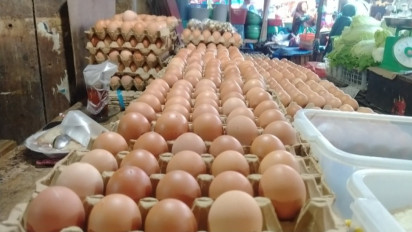 Harga Telur Meroket, Pedagang Asal Muara Bunga Sebut Daya Beli Menurun
